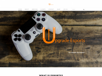 www.theupgradesports.com snapshot