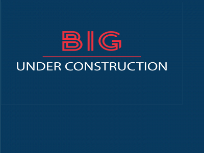 bigg-group.com snapshot