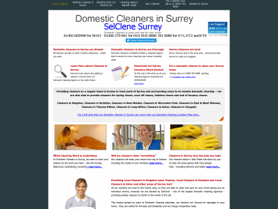 domesticcleanersinsurrey.com snapshot