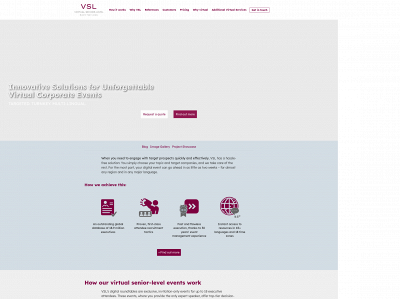 vsl-virtual-senior-level-event-services.com snapshot