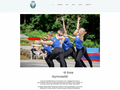 soroegymnastik.com snapshot