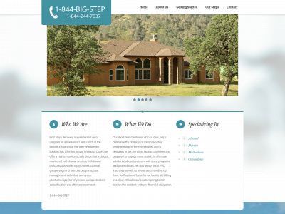 firststepsdetox.com snapshot