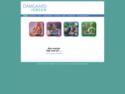damgaard-jensen.dk snapshot