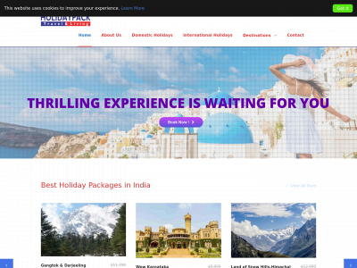 www.holidaypack.in snapshot