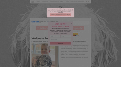www.hermeierdoodles.com snapshot