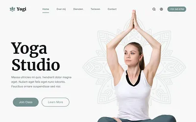 flowenfocus.com snapshot