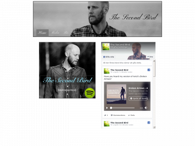 thesecondbird.com snapshot