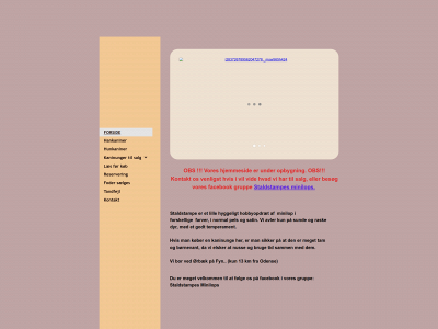 staldstampe.dk snapshot