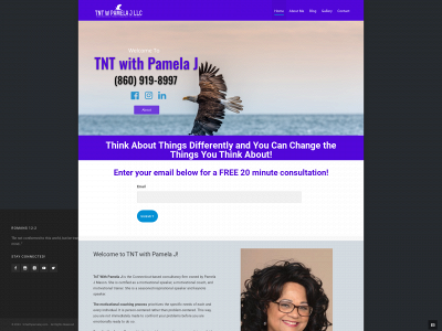 tntwithpamelaj.com snapshot