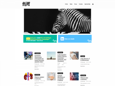 rare-learn.com snapshot