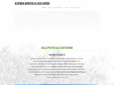 www.oliolucasardo.com snapshot