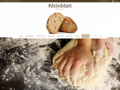 kleinblatt.com snapshot