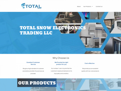 totalsnowllc.com snapshot
