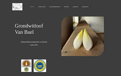 grondwitloofvanbael.be snapshot