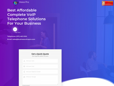 voiceprollc.com snapshot