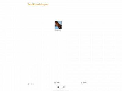 trafikkavdelingen.no snapshot