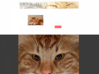 kickapoos.se snapshot