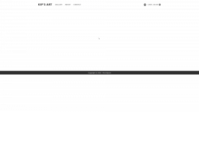 rkipnerart.com snapshot