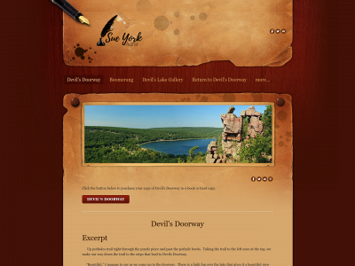 www.sueyork.net snapshot