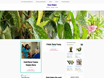floraswindow.com snapshot