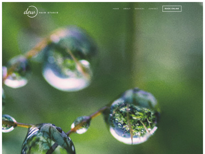 dewhairstudio.com snapshot