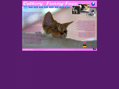 funny-face.be snapshot