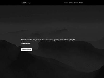 minusvienas.lt snapshot