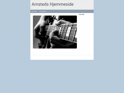 arnsted.dk snapshot