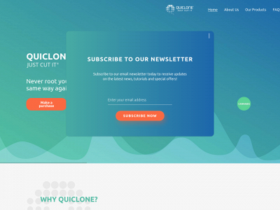 quiclone.com snapshot
