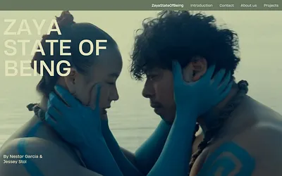 zayastate.info snapshot