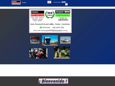 pandolubricantes.com snapshot
