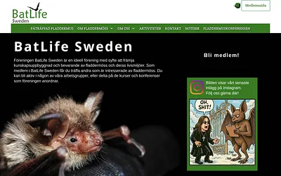 batlife-sweden.se snapshot
