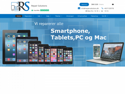 repairsolutions.dk snapshot