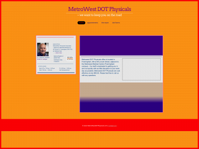 metrowestdotphysicals.com snapshot