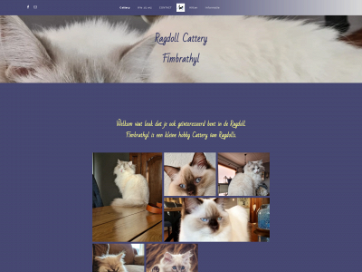 ragdollcatteryfimbrathyl.nl snapshot