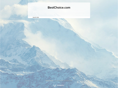 bestchoice.com snapshot