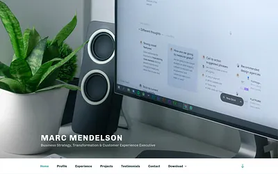 marc-mendelson.com snapshot