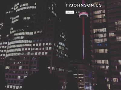 tyjohnson.us snapshot