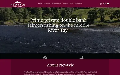 newtylesalmonfishings.co.uk snapshot