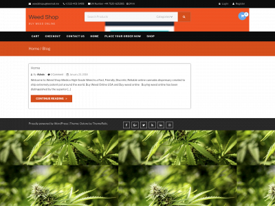 weedmedico.com snapshot