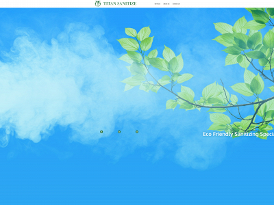 titansanitize.com snapshot