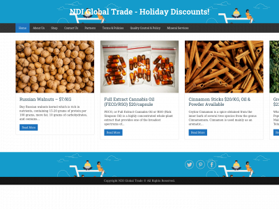 ndigroupcameroon.com snapshot
