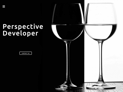 perspectdev.com snapshot