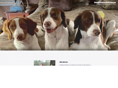 seabreezebrittanys.com snapshot