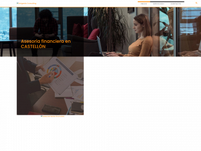 www.alvigestio.es snapshot