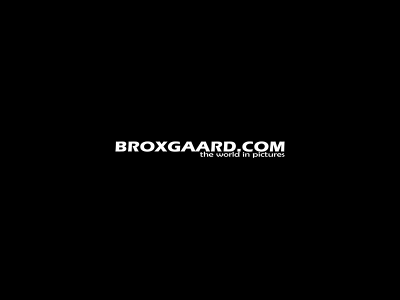 broxgaard.com snapshot