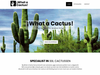 whatacactus.be snapshot