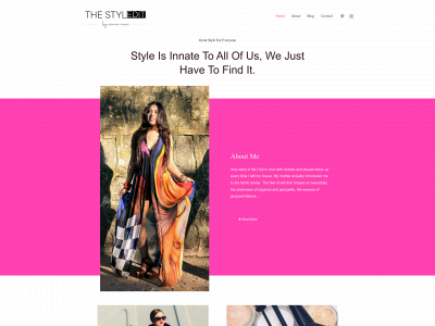thestyledit.com snapshot