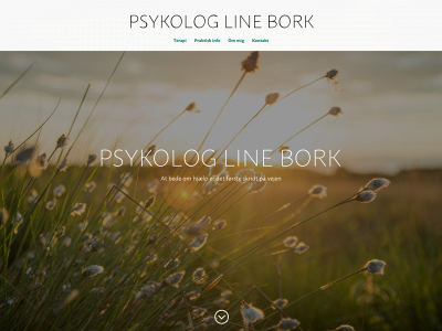 linebork.dk snapshot