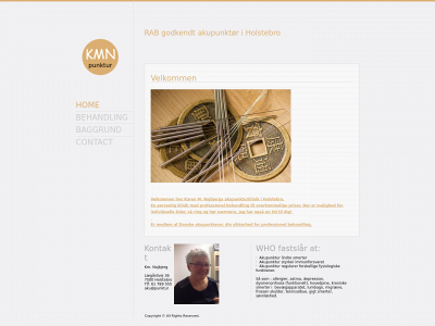 punktur.dk snapshot